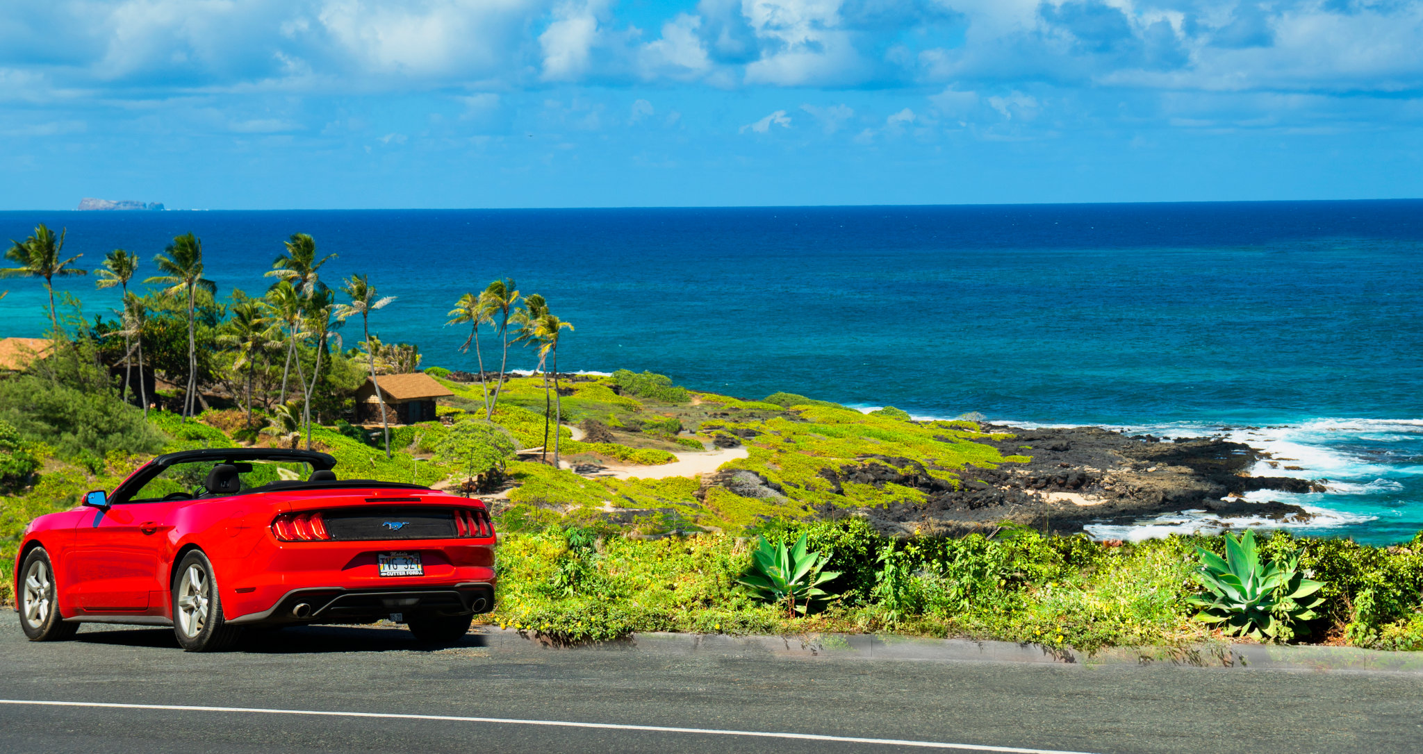 Hawaiian coastal landscape with palm trees, blue ocean, and clear skies